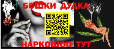 спиды Новодвинск