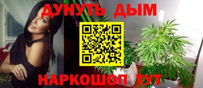 спиды Новодвинск