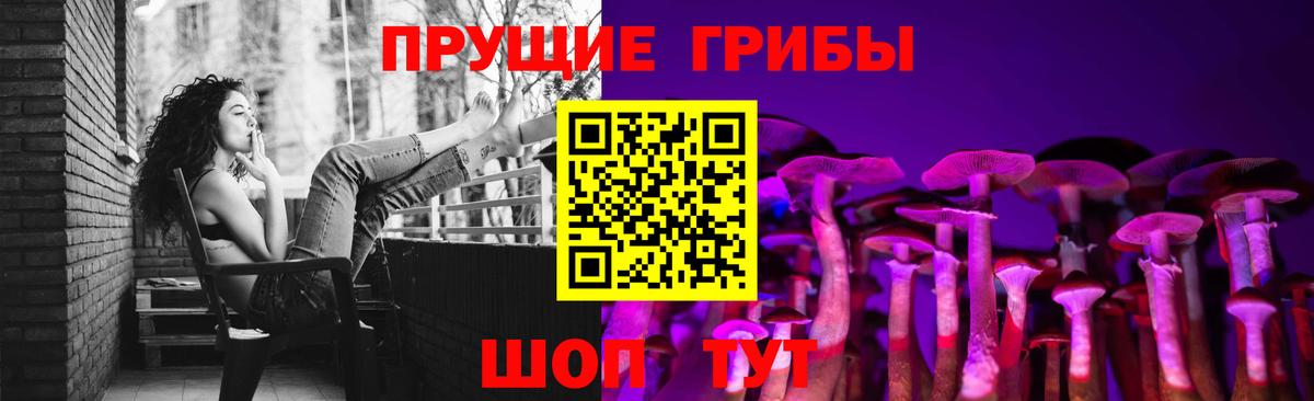 Псилоцибиновые грибы Psilocybe  Вход с VPN  Сердобск 